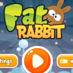 Fat Rabbit